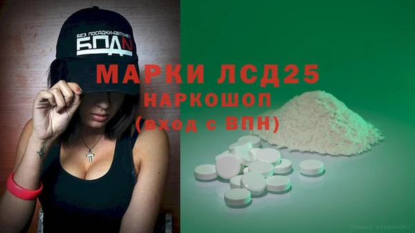 стафф Аркадак