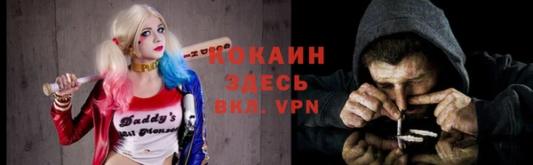 стаф Балахна