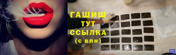стаф Балахна