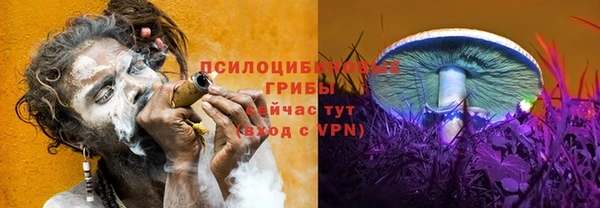 стаф Балахна