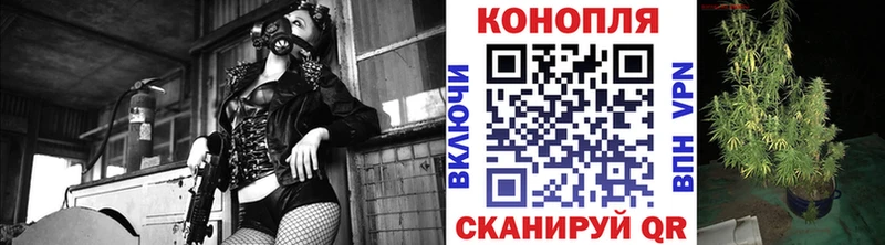 Купить где  Суоярви  МАРИХУАНА индика 